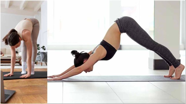 Weight Loss Weight Loss