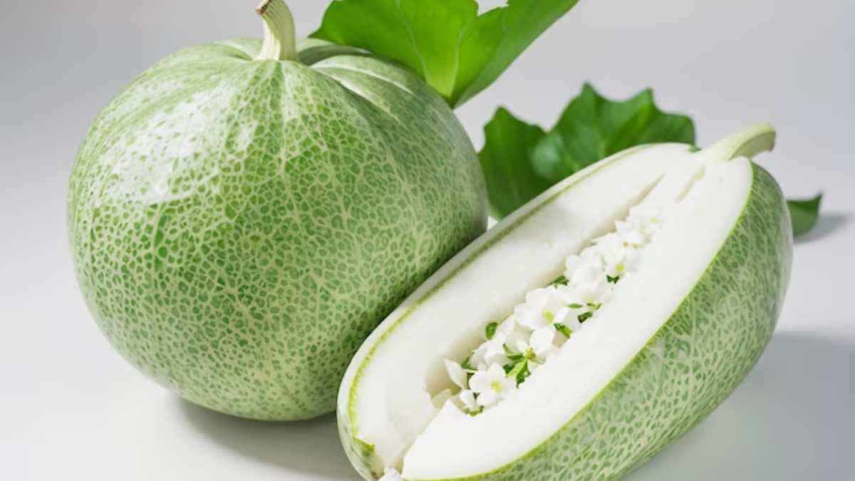 ash gourd