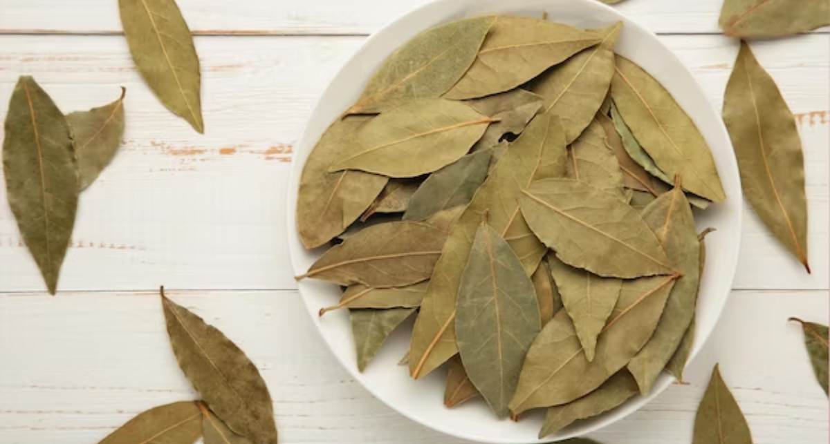 bay leaf benefits