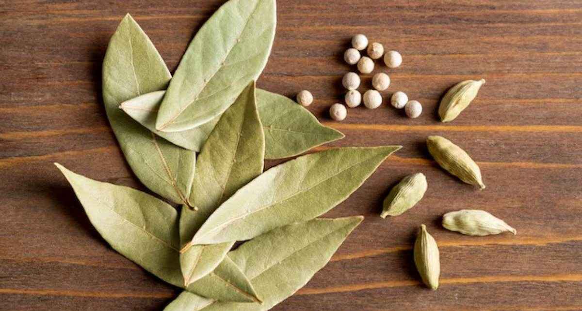 bay leaf benefits