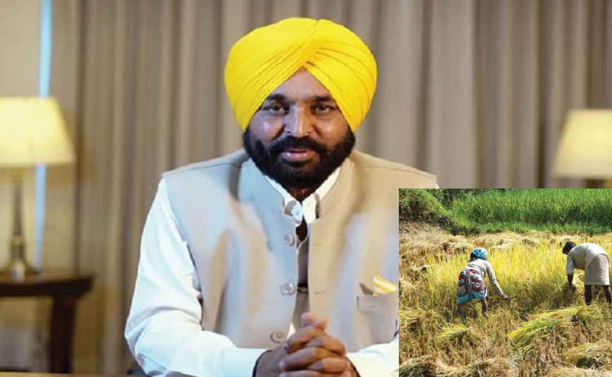 पंजाब सरकार ने तैयार की कृषि नीति, जानें किसानों को कैसे होगा फायदा