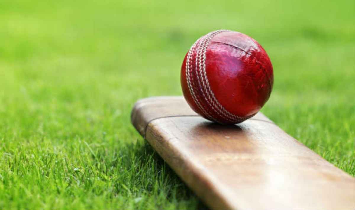 cricket ball bat