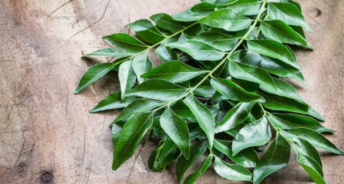 Curry Leaves Uses