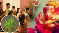 durva-grass-significance-in-hinduism