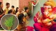 durva-grass-significance-in-hinduism