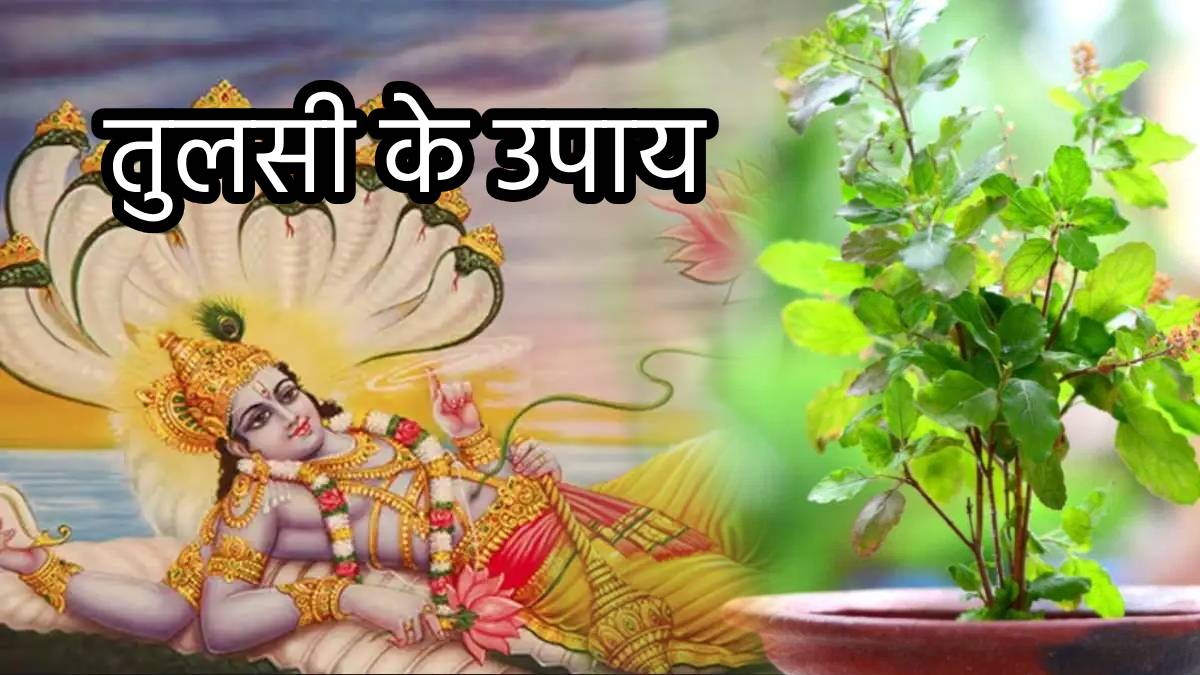 ekadashi-tulsi-ke-upay