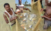 fish farming benefits