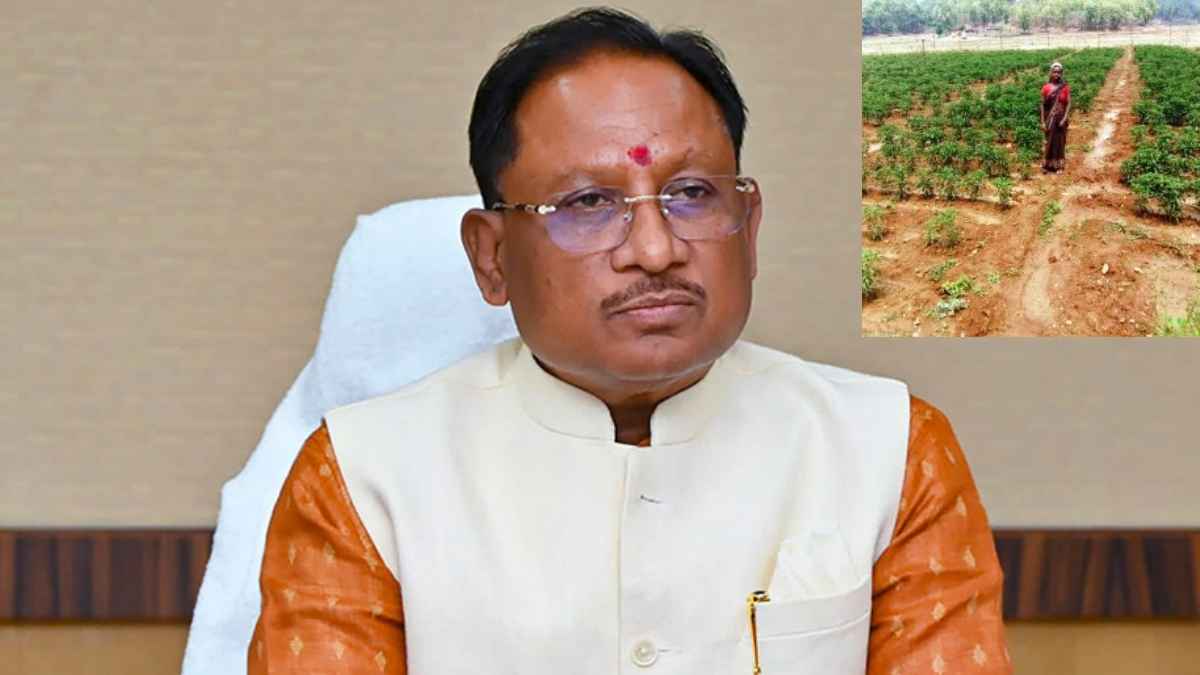 छत्तीसगढ़ सरकार की योजनाओं के साथ आदिवासी महिला ने बदली किस्मत, बनी परिवार का सहारा