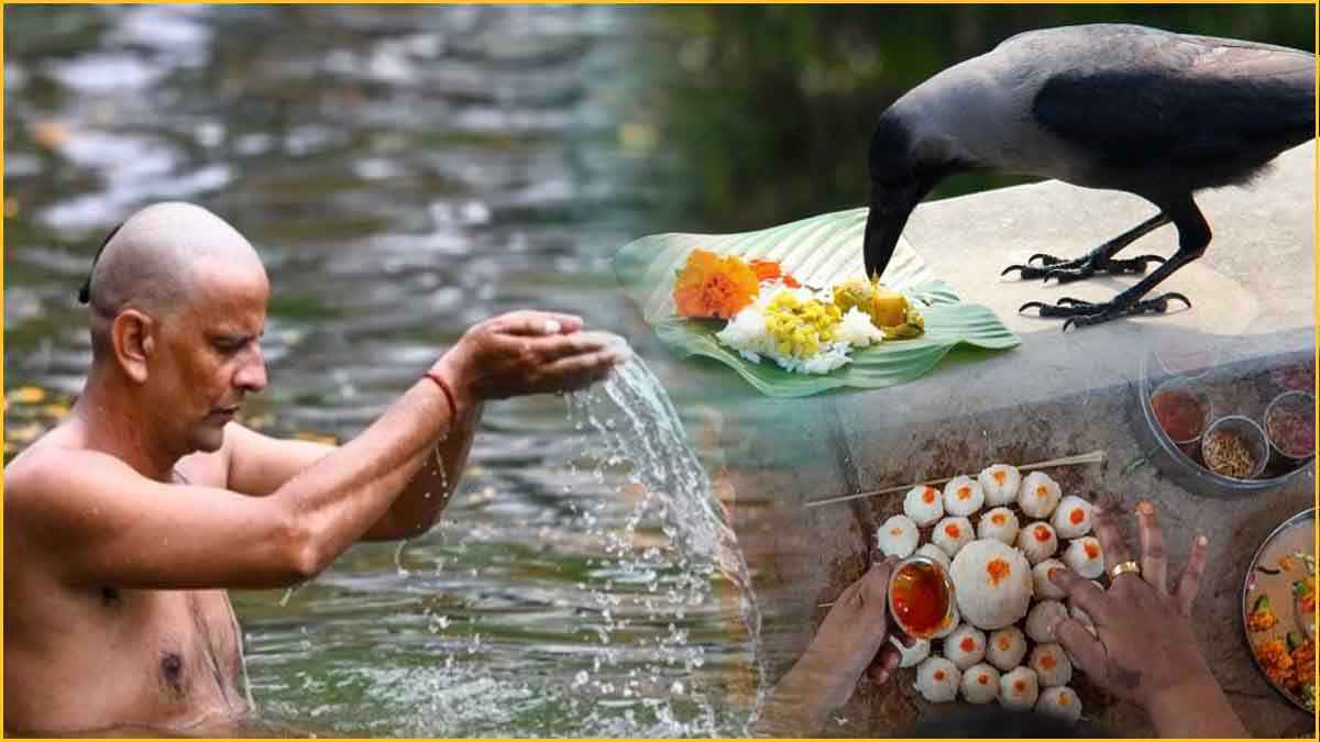 Pitru Paksha 2024: श्राद्ध का खाना घर पर नहीं बना पा रहे हैं तो क्या करें? जानें खाने से जुड़े जरूरी नियम