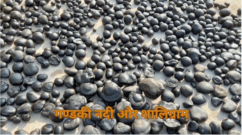 gandaki nadi