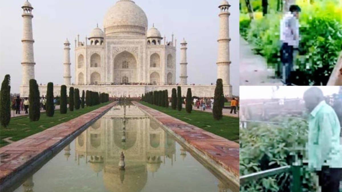 Taj Mahal, Viral Video, two Tourist Urinating Taj Mahal Garden