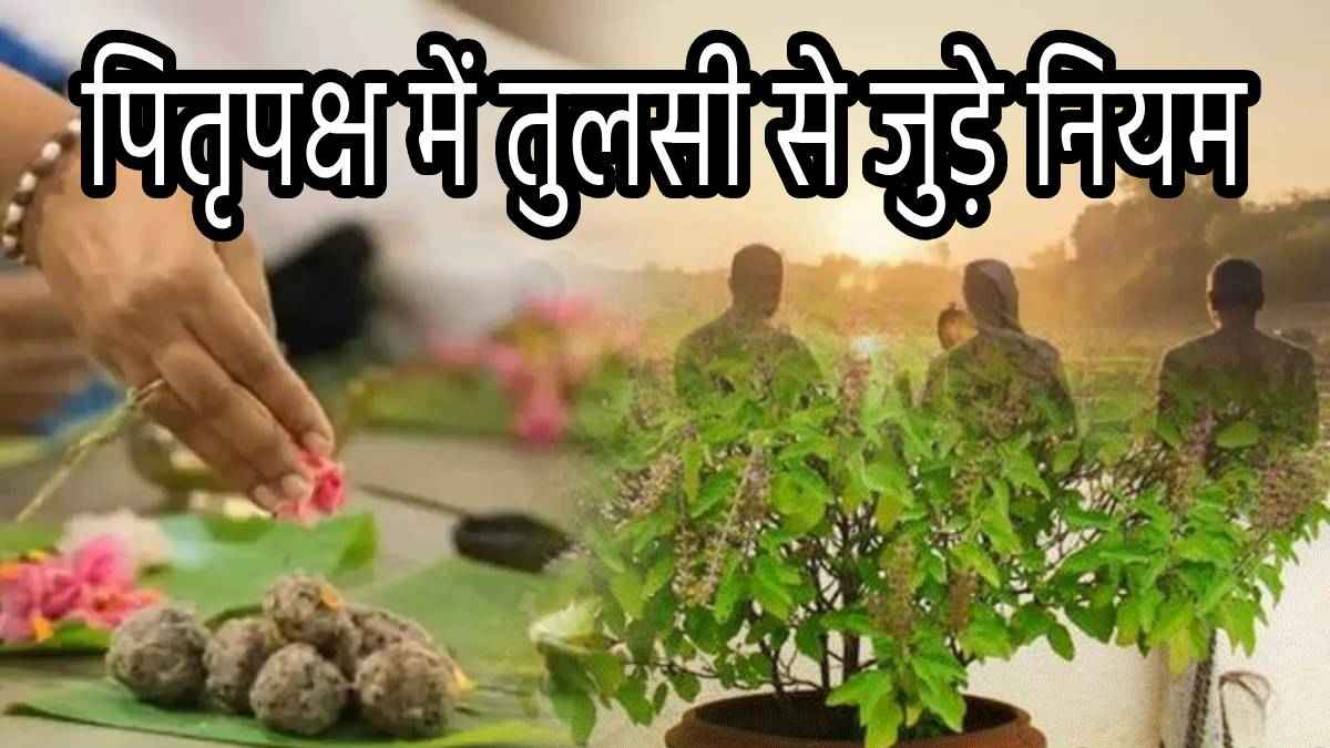 Pitru Paksh 2024: पितृपक्ष में न करें तुलसी से जुड़ी ये 3 गलतियां, नाराज हो सकते हैं पितर!