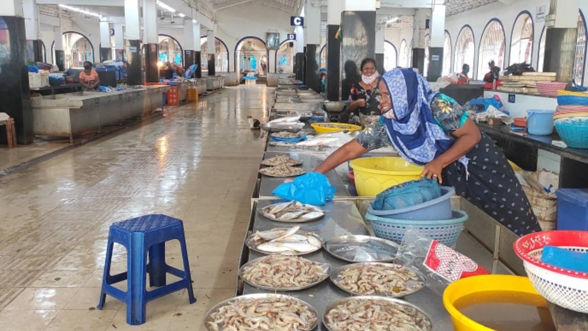 Bangladesh ban export Padma hilsa, Padma hilsa Expensive, India ,Durga Puja Padma hilsa shortage