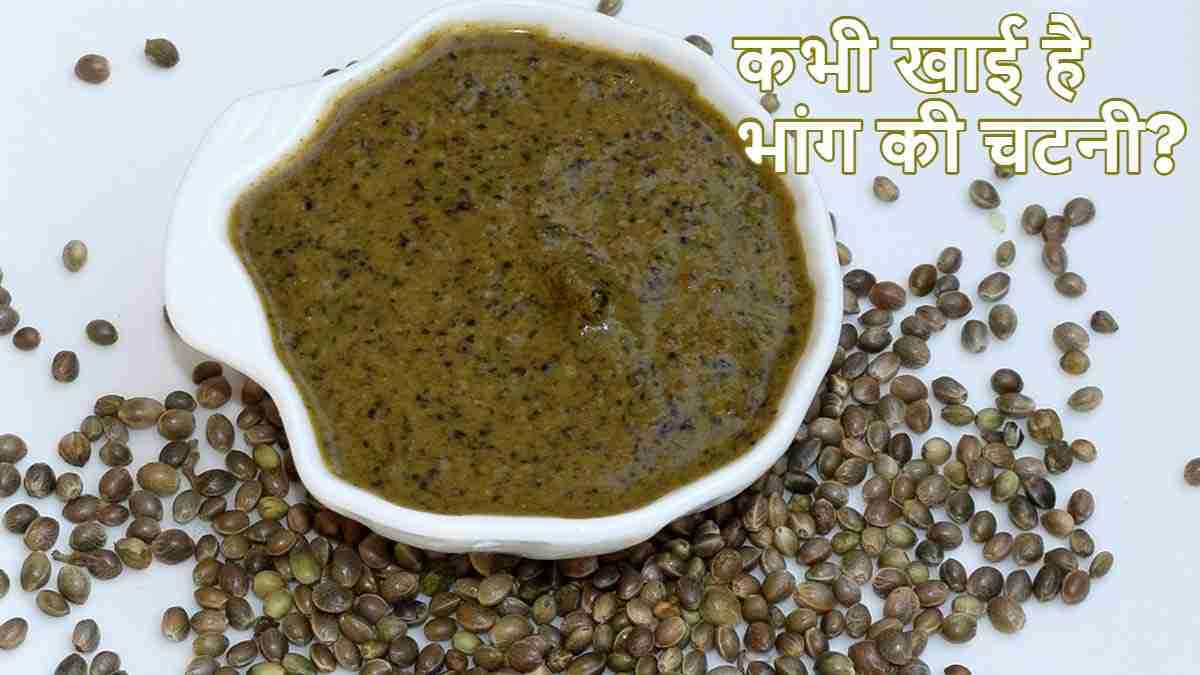Bhang Chutney Recipe: सेहत के लिए फायदेमंद हैं भांग के बीज, इस तरीके से चटनी बनाकर खाएं