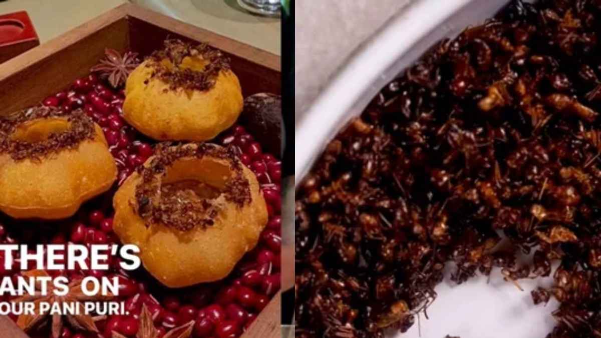 Viral Video: ओ भाई, गोलगप्पे में भर दी चींटियों वाली चटनी, मजे से खा रहे लोग