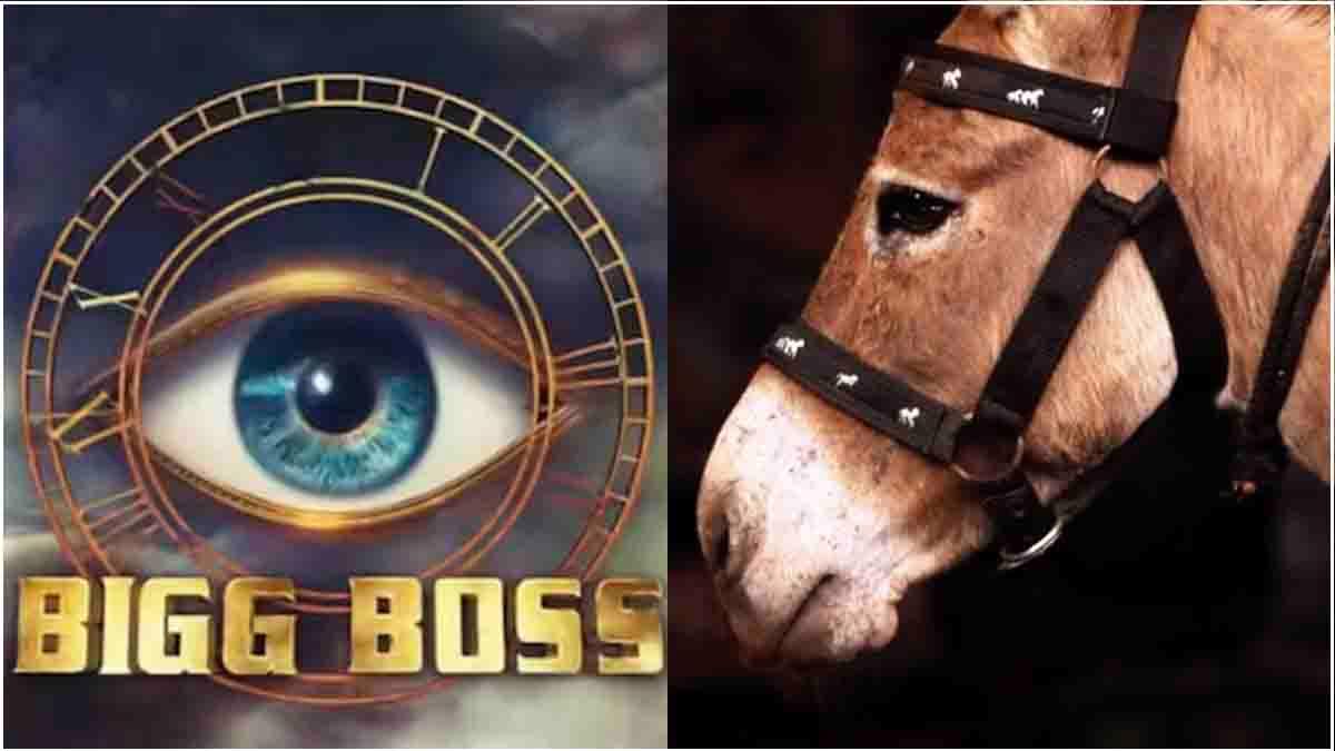 BIGG BOSS 18