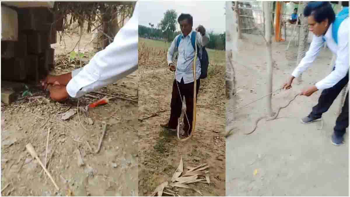 सांपों के साथ खेलता है बिहार का 'स्नेकमैन', 5000 से ज्यादा कर चुका है रेस्क्यू