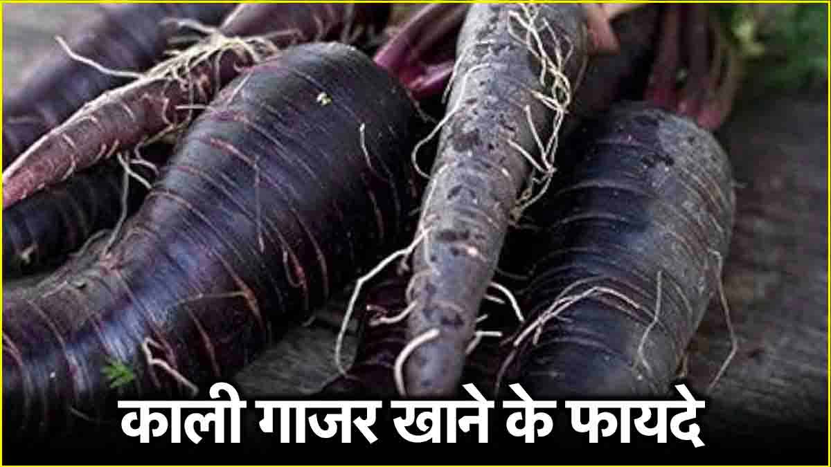 Benefits of Black Carrots