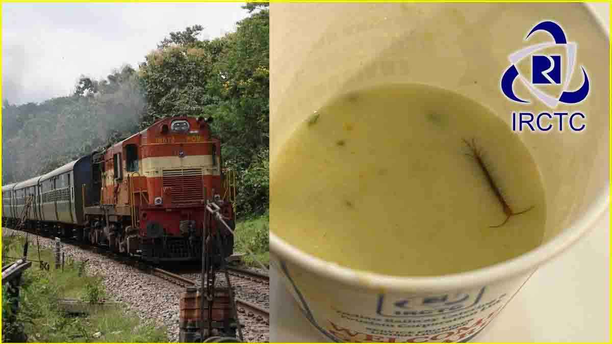 Centipede in Raita Railway Lounge IRCTC Food