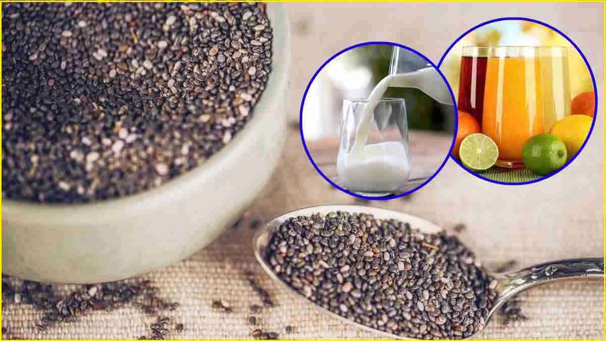 Chia Seeds Side Effects