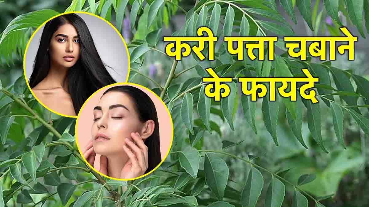 Curry Leaves Benefits: 7 दिनों तक करी पत्ता खाने के हैं 5 जबरदस्त फायदे, तीसरा जान आप भी कहेंगे- अरे वाह!