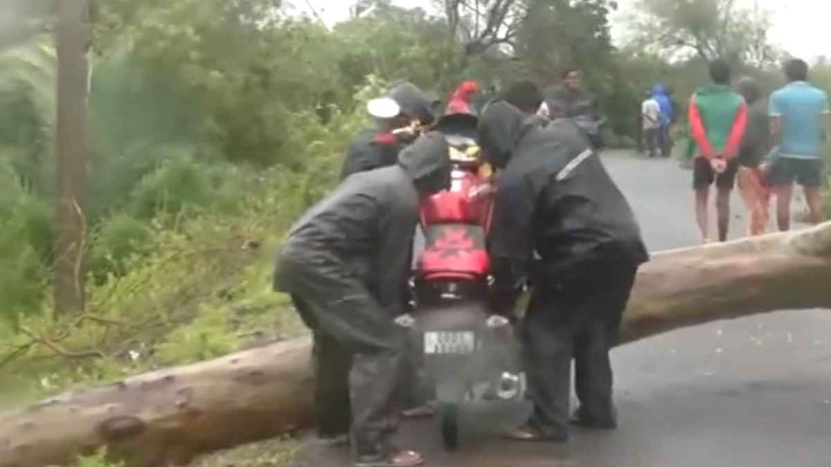 Cyclone Dana: 16 लाख लोग बेघर, पेड़ टूटने से सड़कें ब्लॉक...जानें चक्रवाती तूफान का ओडिशा में कितना-कैसा असर?