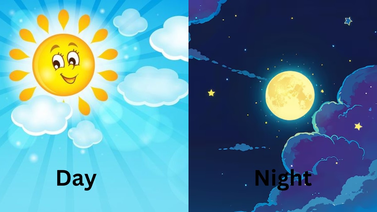 Day and Night