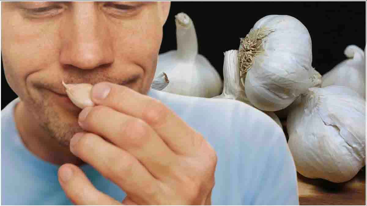 Garlic Benefits: पुरुषों के लिए वरदान है लहसुन! कैसे करें डाइट में शामिल, जानें फायदे
