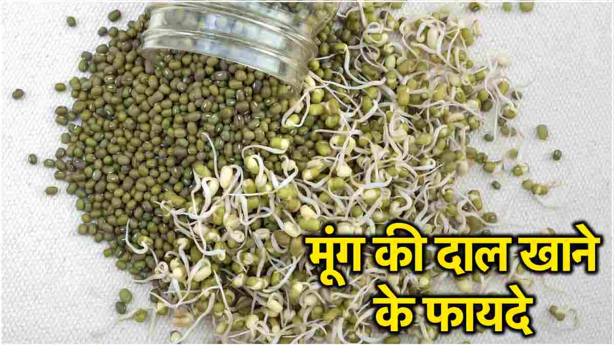 moong dal benefits