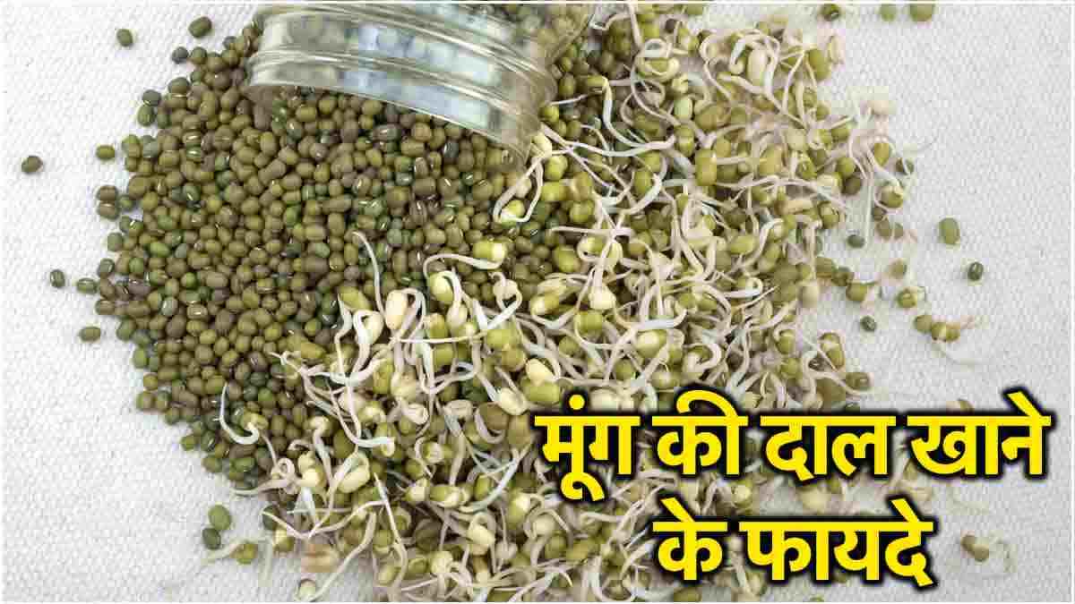 शुगर समेत ये 5 बीमारियां जड़ से खत्म कर देगी ये दाल, कौन-कौन से लोग करें परहेज?