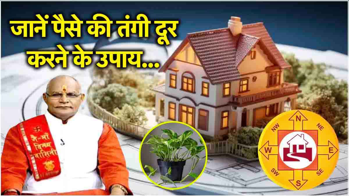 Kaalchakra: घर के बाहर या अंदर कहां लगाएं मनी प्लांट? पंडित सुरेश पांडेय से जानें वास्तु नियम