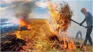 burn stubble Farmers