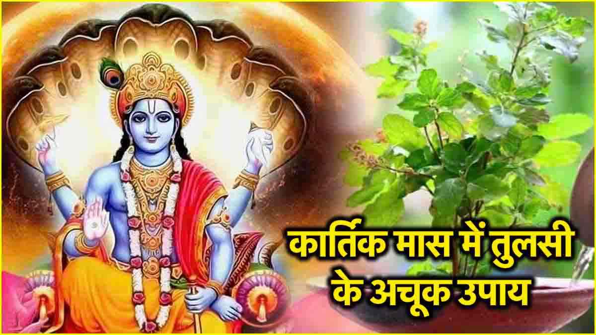 Kartik Mas Tulsi Ke Upay: कार्तिक माह में इस तरह करें तुलसी की पूजा, धन से भर जाएगी तिजोरी!