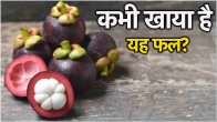 Mangosteen Benefits