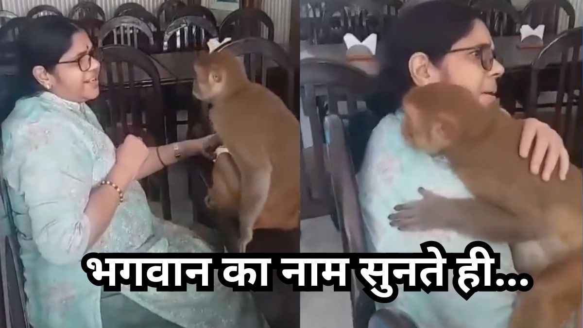 Monkey Bhajan Video