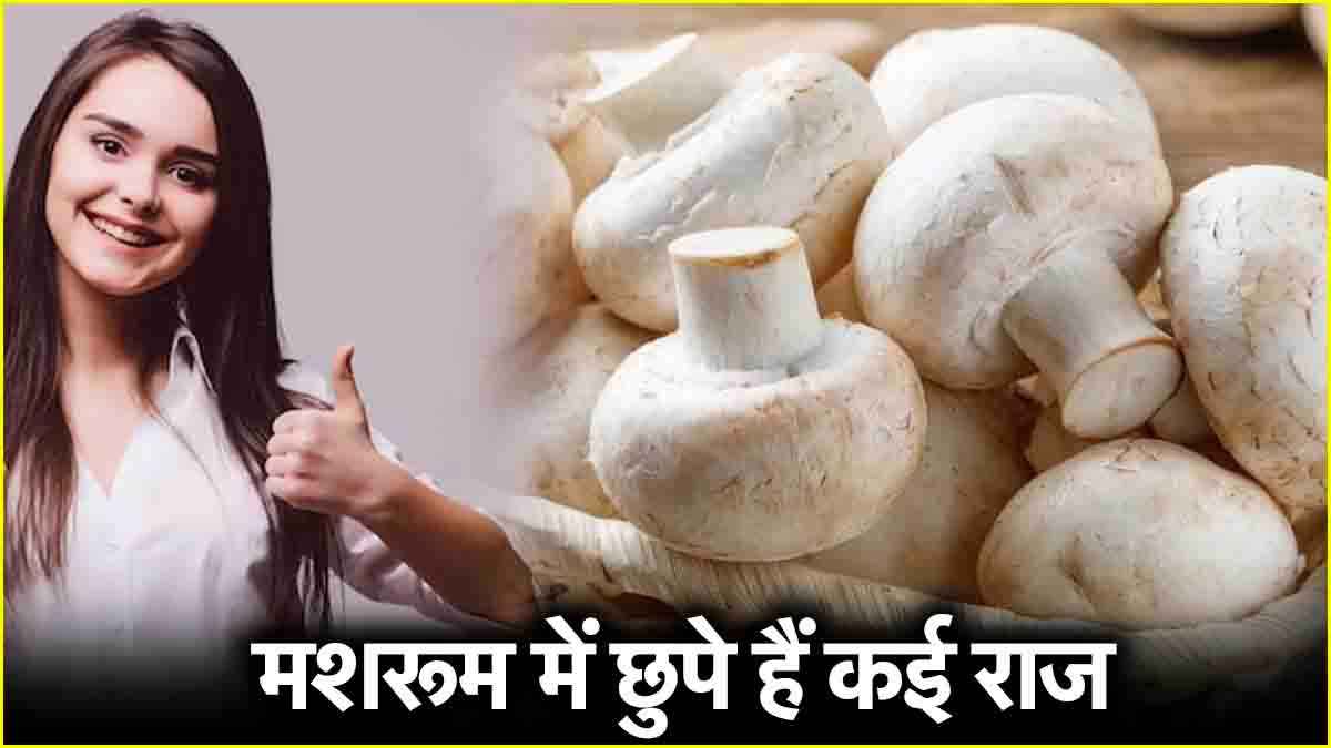 Mushroom Benefits: मशरूम में छुपे हैं कई राज, कोलेस्ट्रॉल से लेकर कैंसर के खतरे को करता है कम