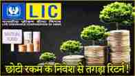 LIC Mutual Fund