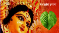 shardiy navratri 2024 upay navratri vrat remedies paan ke patte ke upay