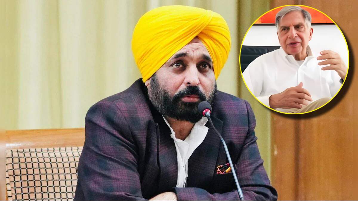 Punjab CM Bhagwant Mann on Ratan Tata Death