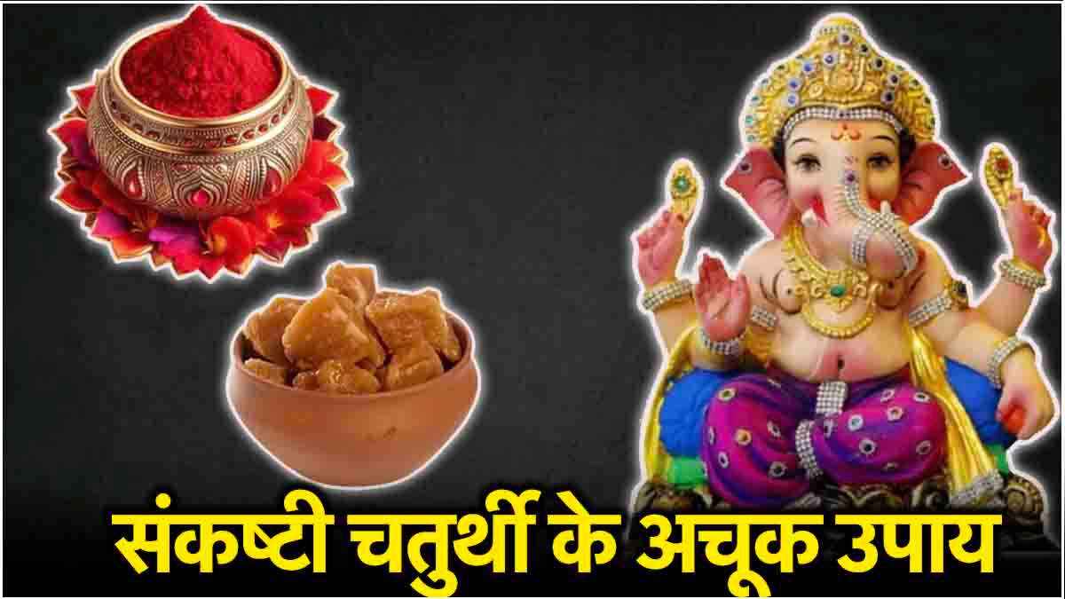 Sankashti Chaturthi 2024: कार्तिक संकष्टी चतुर्थी पर 12 राशियों का होगा भाग्योदय! राशि अनुसार ऐसे करें गणेश पूजन