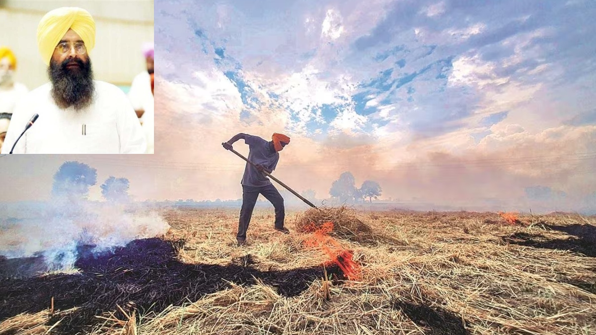 Stubble Burning Case in punjab