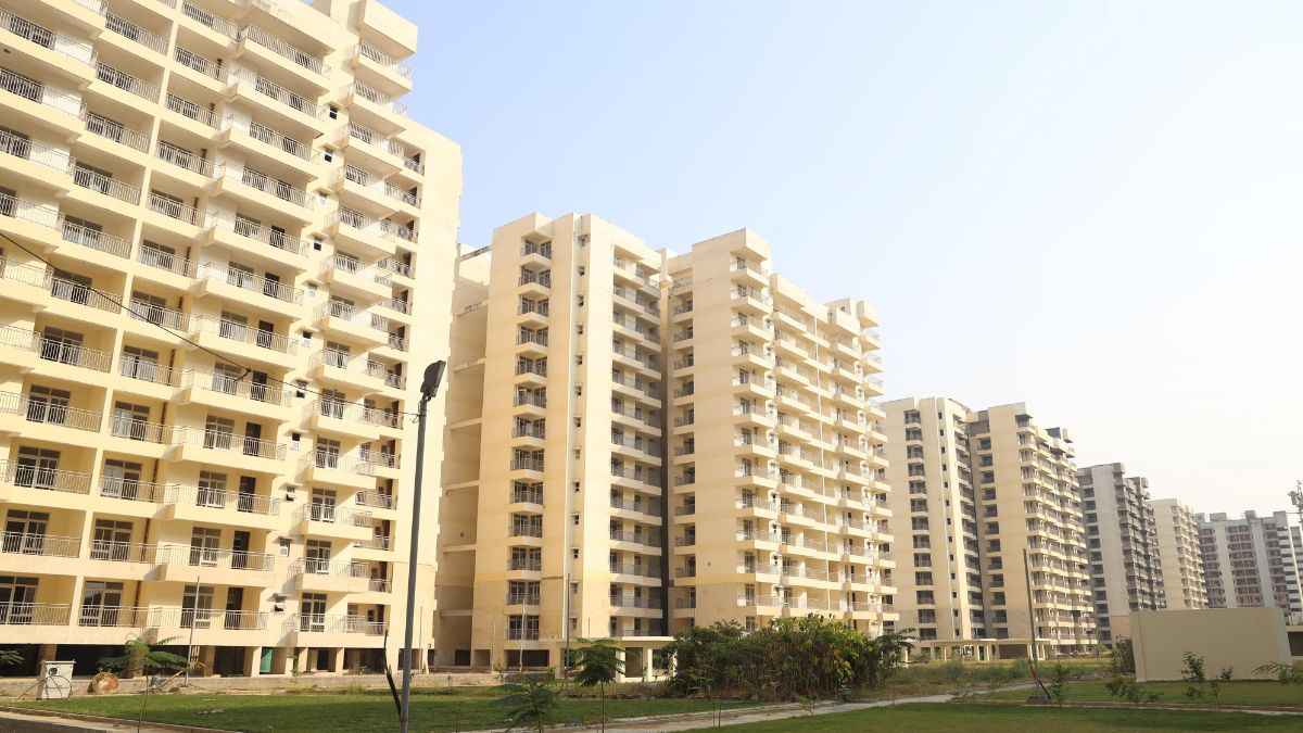 DDA Flat Scheme