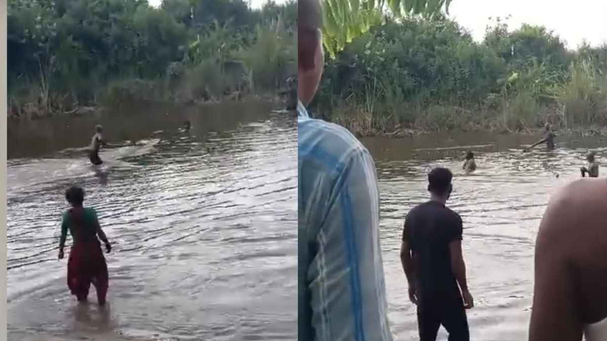 Crocodile attack in bihar