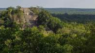 PhD student finds lost city in Mexico, PhD student finds lost city in Mexico jungle by accident