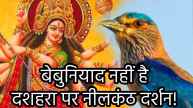 durga-puja-auspicious-bird