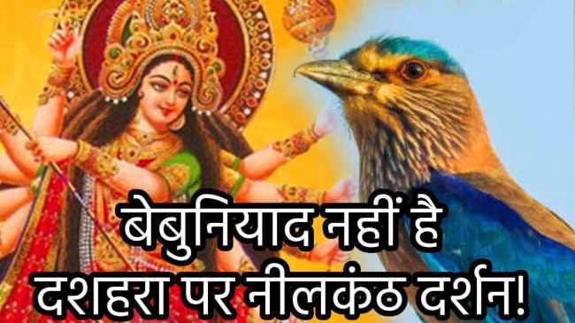 durga-puja-auspicious-bird