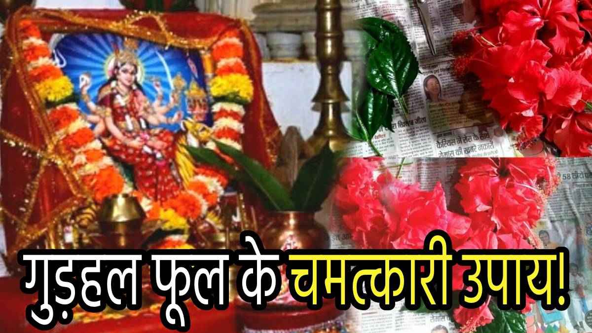 Navratri 2024: गुड़हल फूल के इन 5 उपायों से प्रसन्न होंगी देवी दुर्गा, खुल जाएगा बंद किस्मत का ताला!