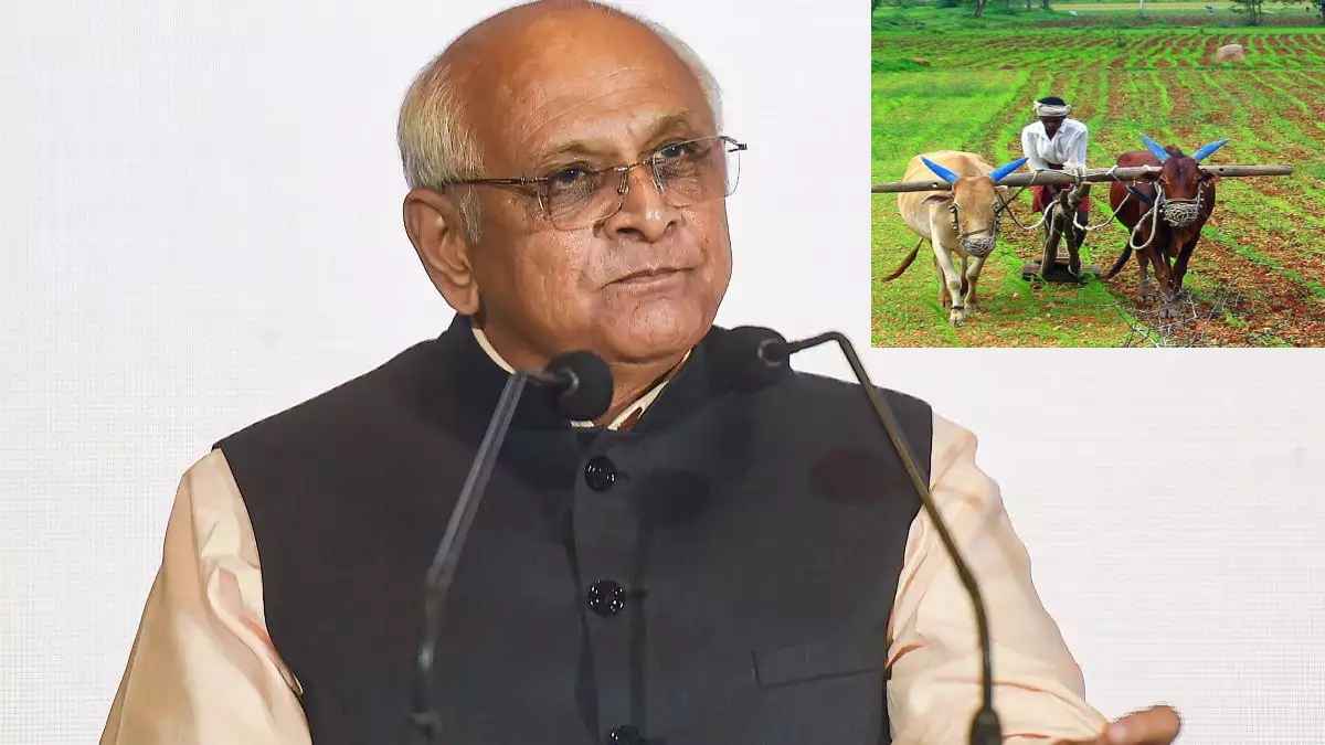 gujarat government may Announce relief package for farmers