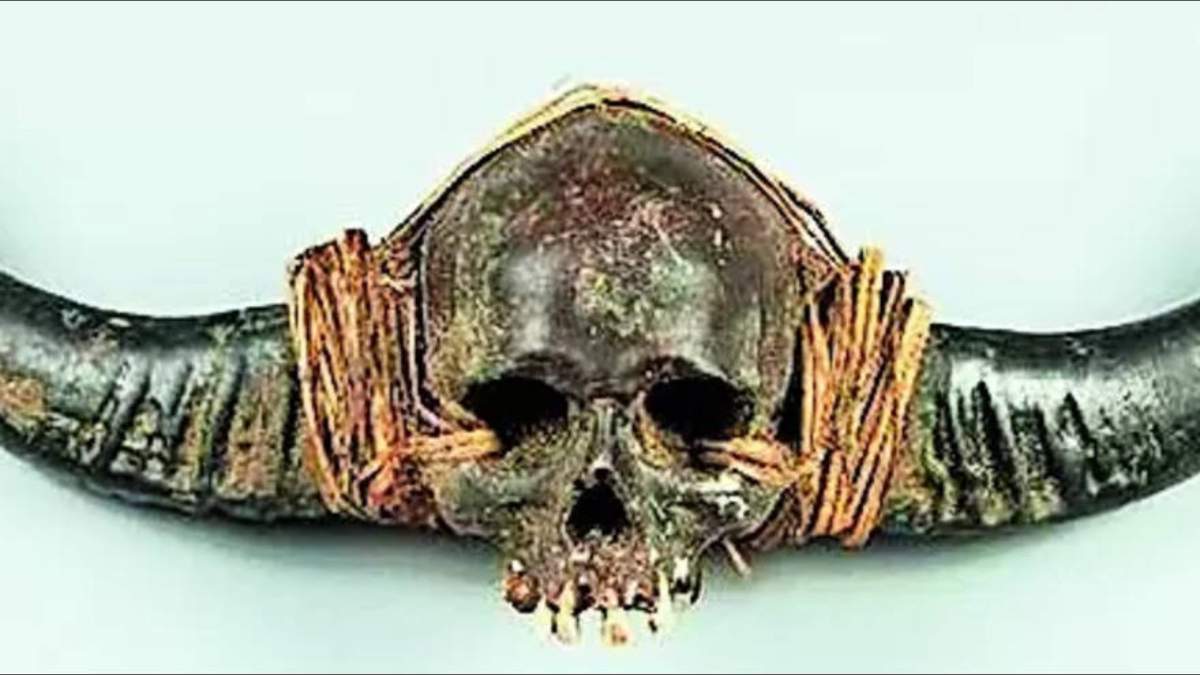 naga human skull