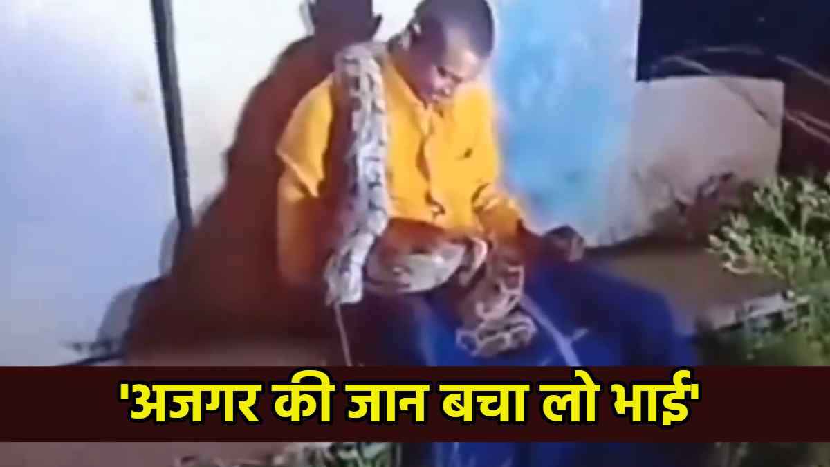 pYTHON VIRAL VIDEO
